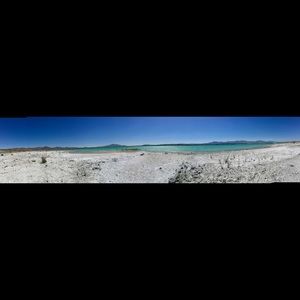 Meet your Posher, Bailey